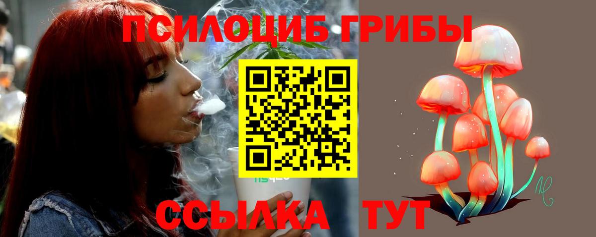Строитель  Псилоцибиновые грибы мицелий  Вход с VPN 